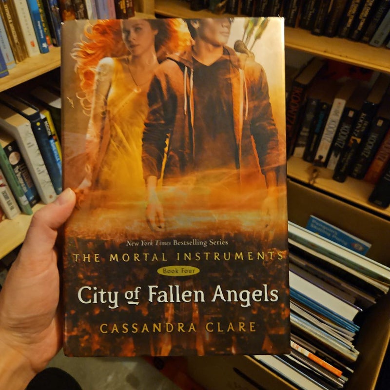 City of Fallen Angels