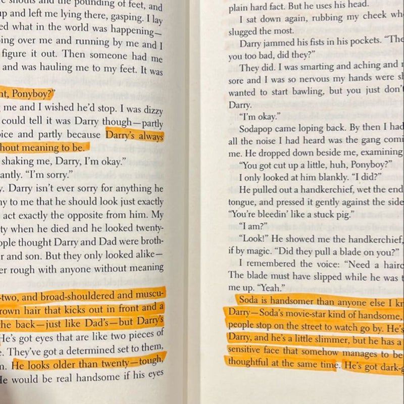 The Outsiders by S. E. Hinton, Paperback | Pangobooks