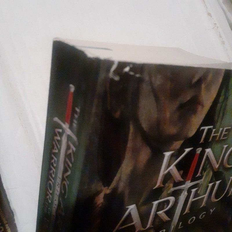 Warrior of the West: The King Arthur trilogy book 2