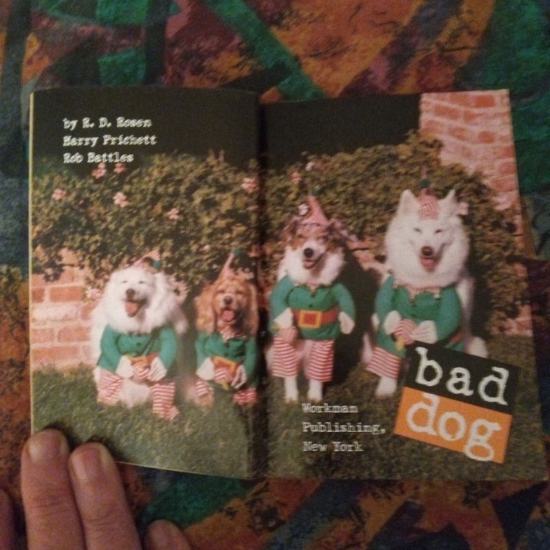 Bad Dog