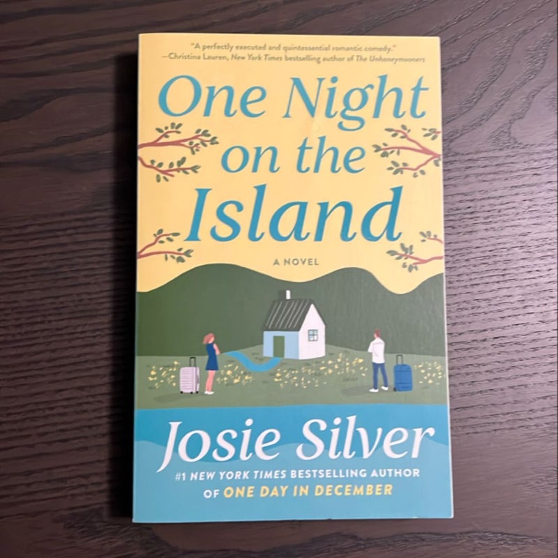 One Night on the Island
