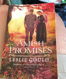 Amish Promises