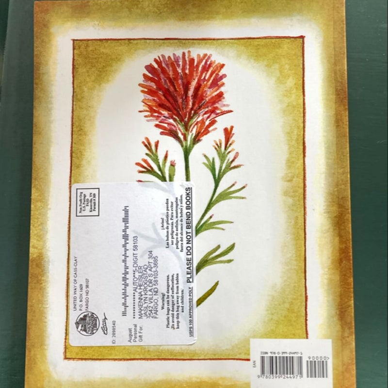 The Legend of the Indian Paintbrush