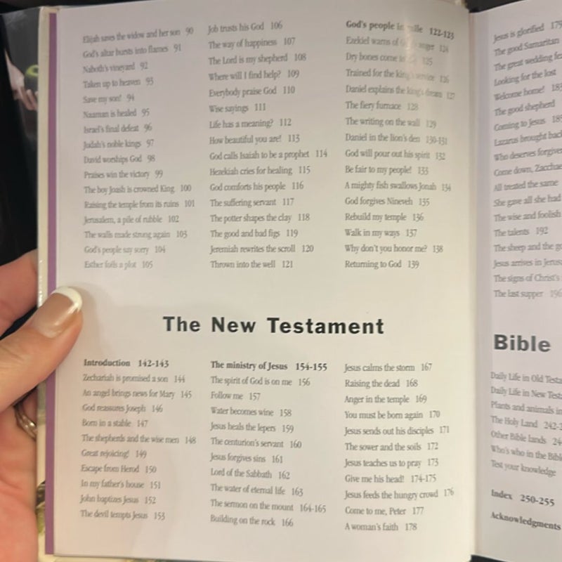 Illustrated Family Bible Stories