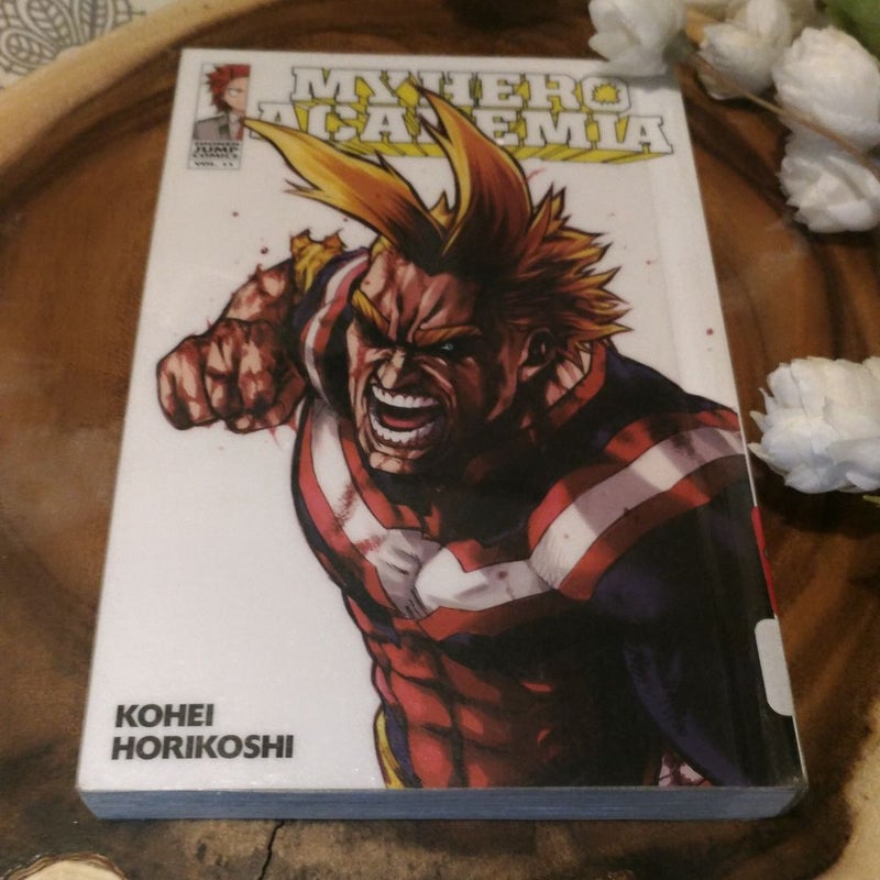 My Hero Academia, Vol. 11
