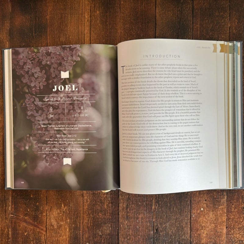 The Bible Handbook