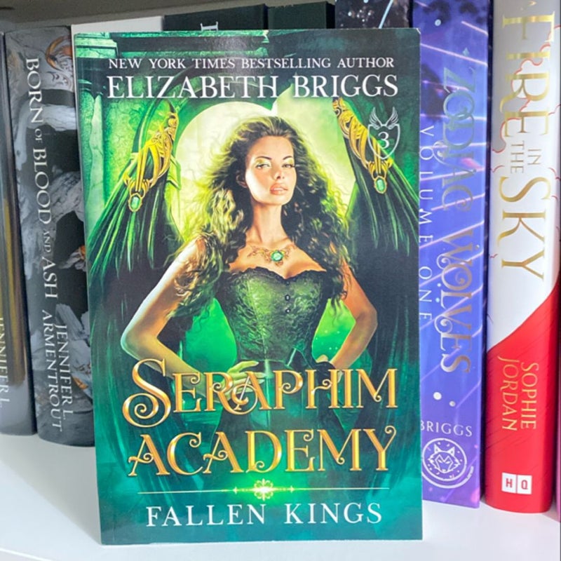 Seraphim Academy Series (OOP)