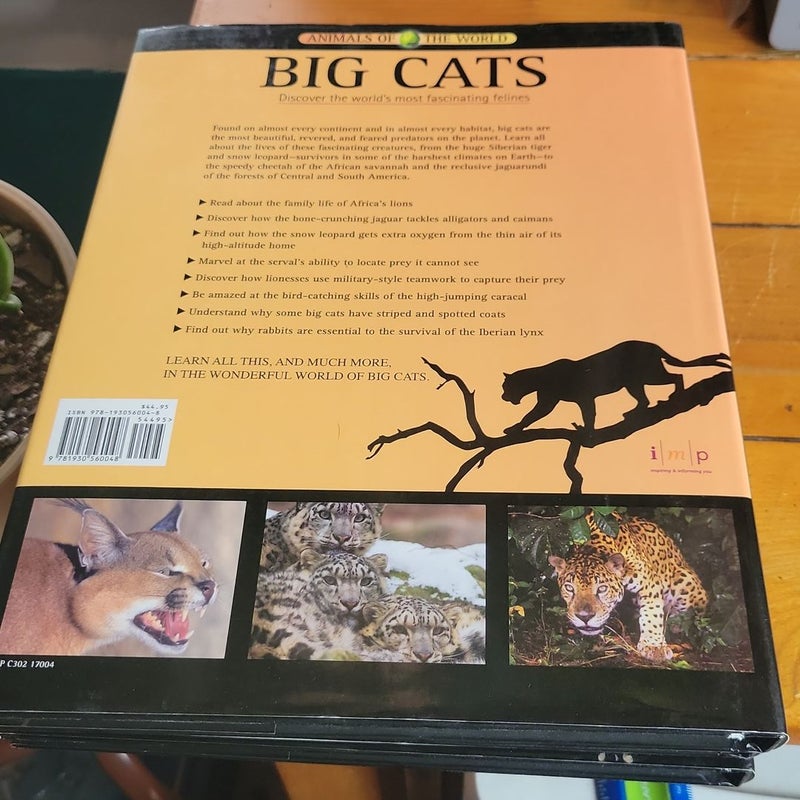 Sharks, big cats, bears