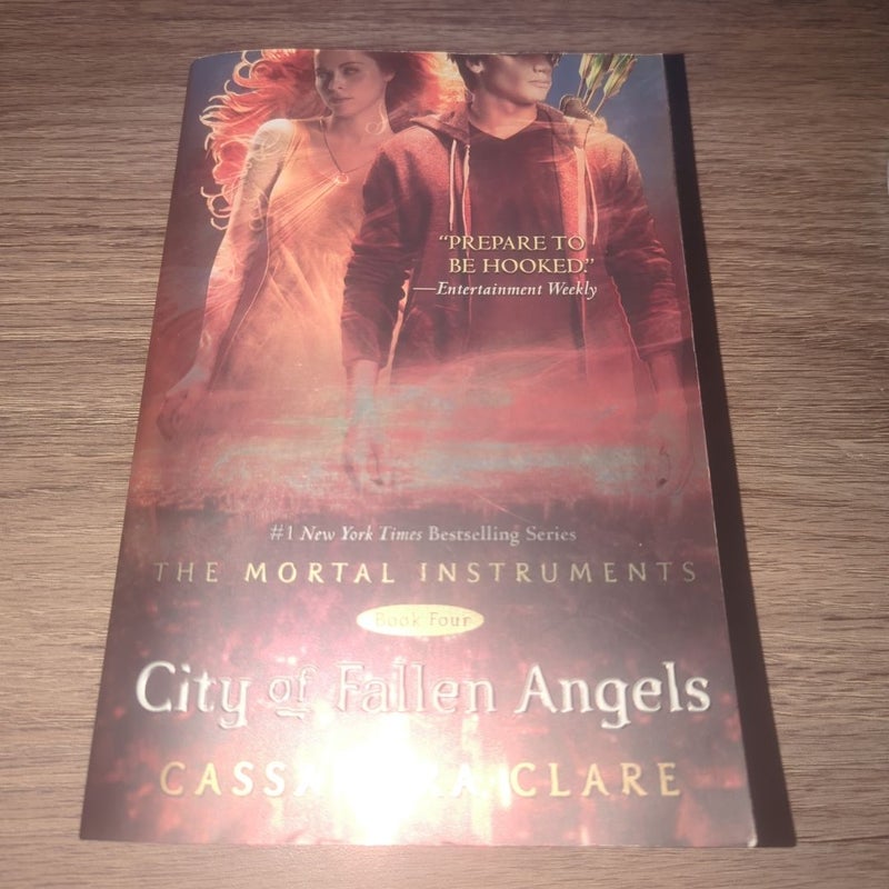 City of Fallen Angels