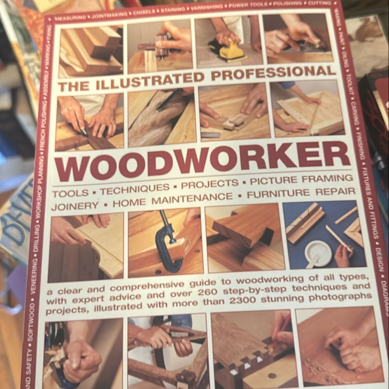 The Illustrated Professional Woodworker