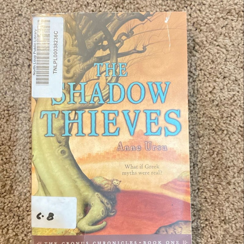 The Shadow Thieves