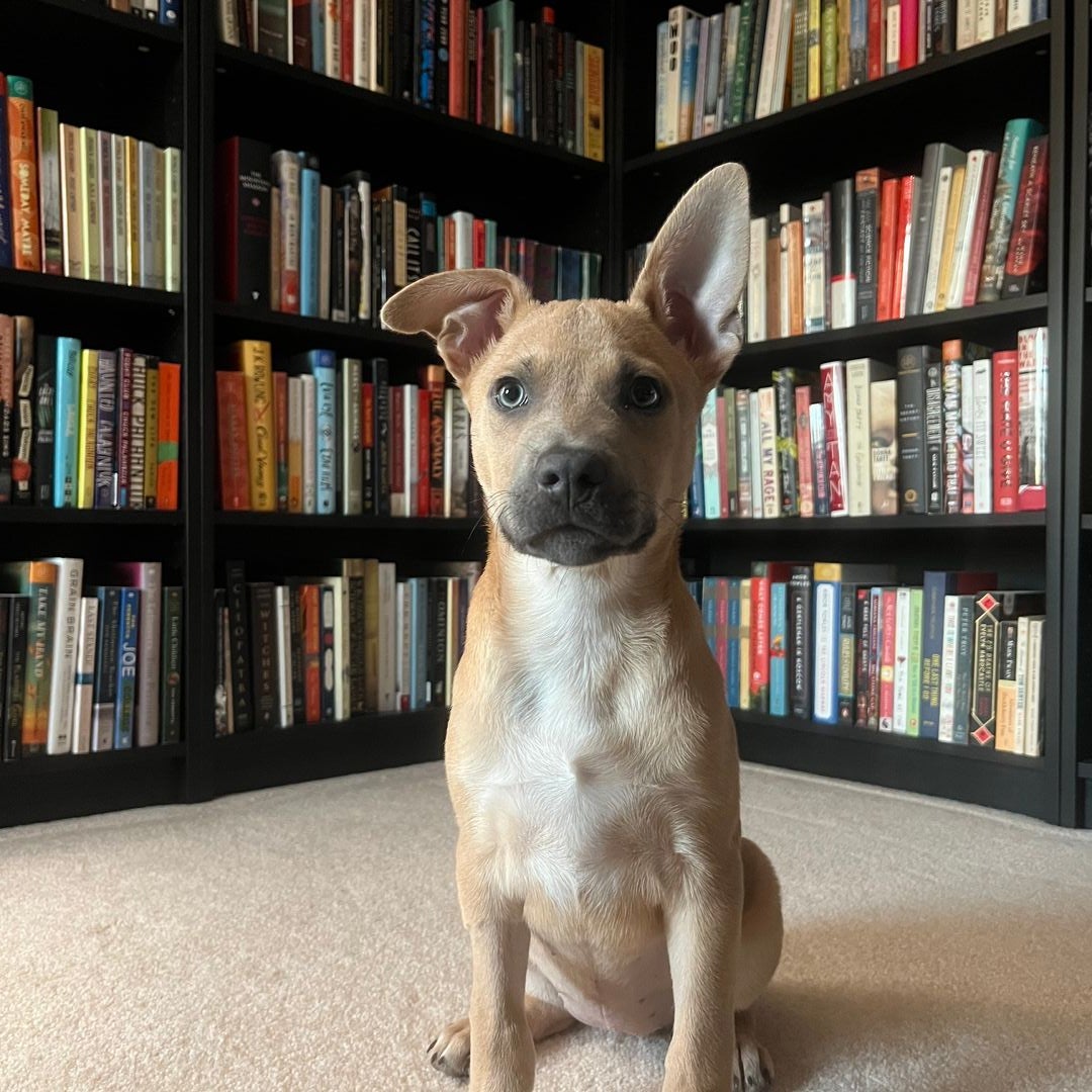 Charlie’s Books 🐾