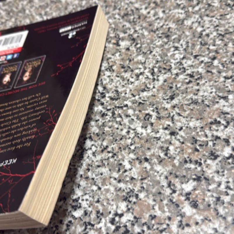 The Secret Circle: the Divide 1st edition