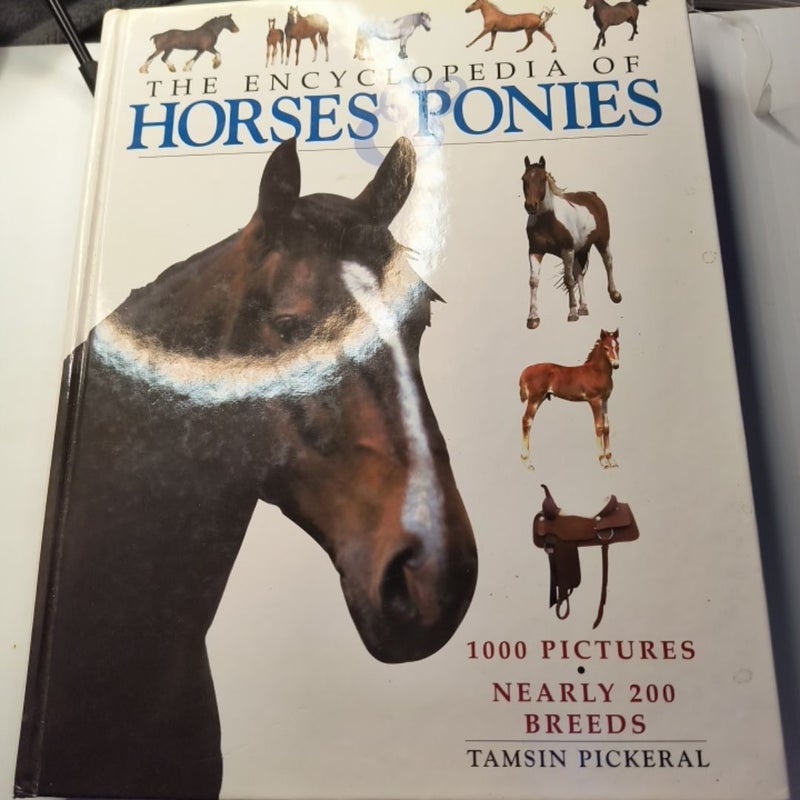 Horses and Ponies