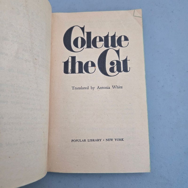 The Cat