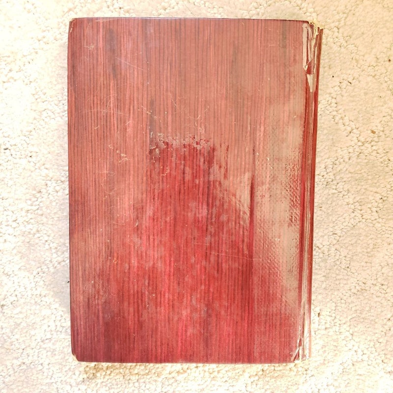The Mercer Boys' Mystery Case