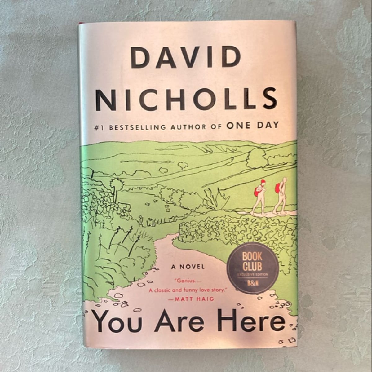 You Are Here by David Nicholls