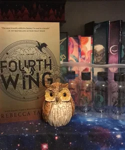 Fourth Wing with *Fairyloot* exclusive items