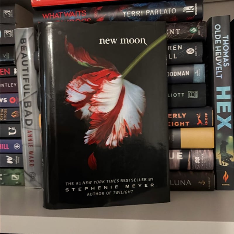 New Moon