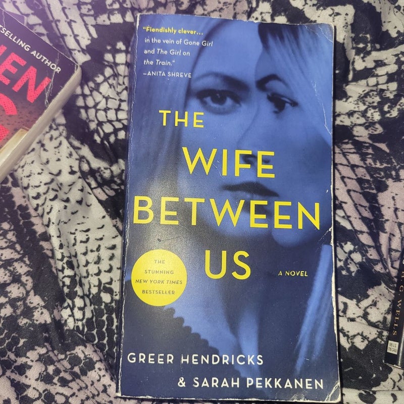 The Wife Between Us