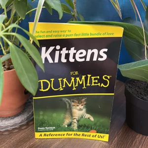 Kittens for Dummies