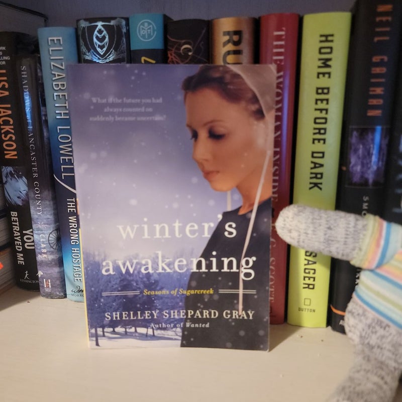 Amish romance books