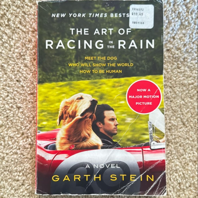 The Art of Racing in the Rain Tie-In