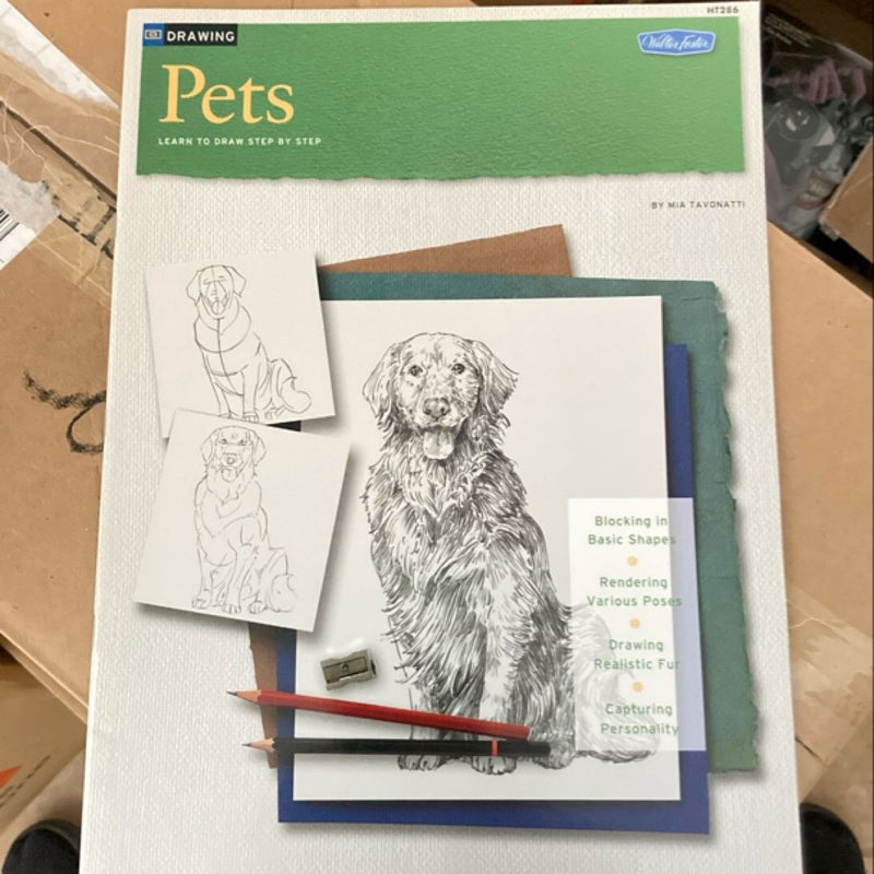Pets learn to draw step by step