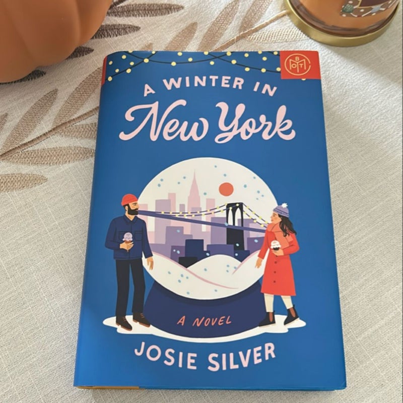 A Winter in New York