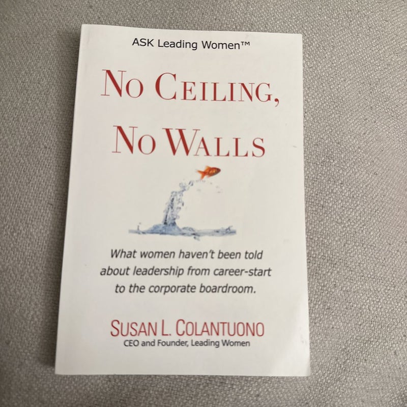 No Ceilings No Walls 