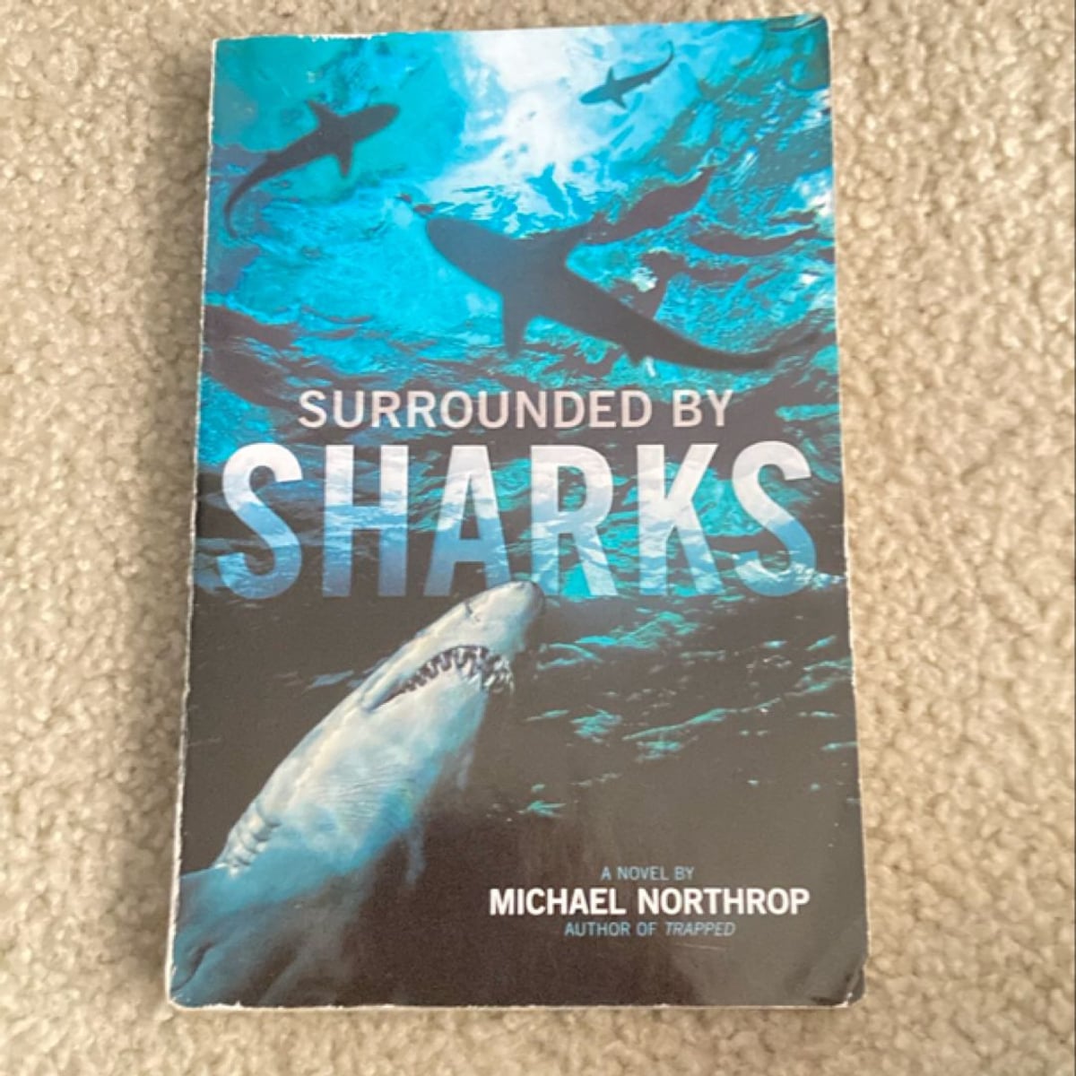 Surrounded by Sharks by Michael Northrop, Paperback Pangobooks