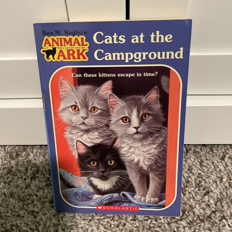 Cats at the campground