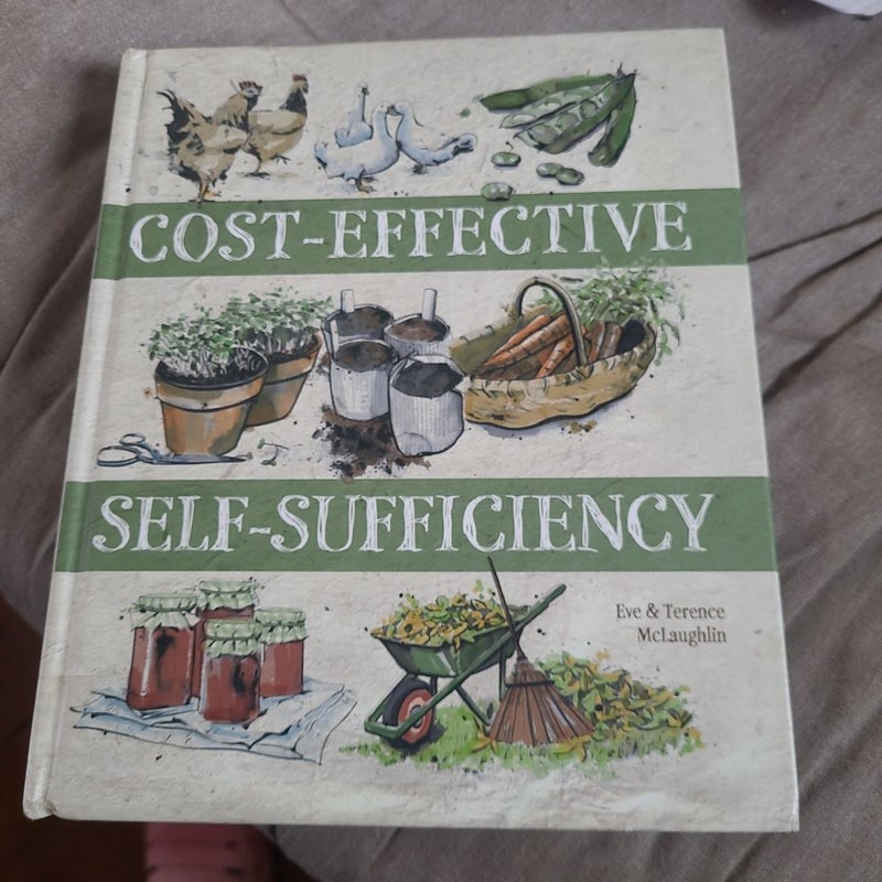 Cost-Effective Self-Sufficiency