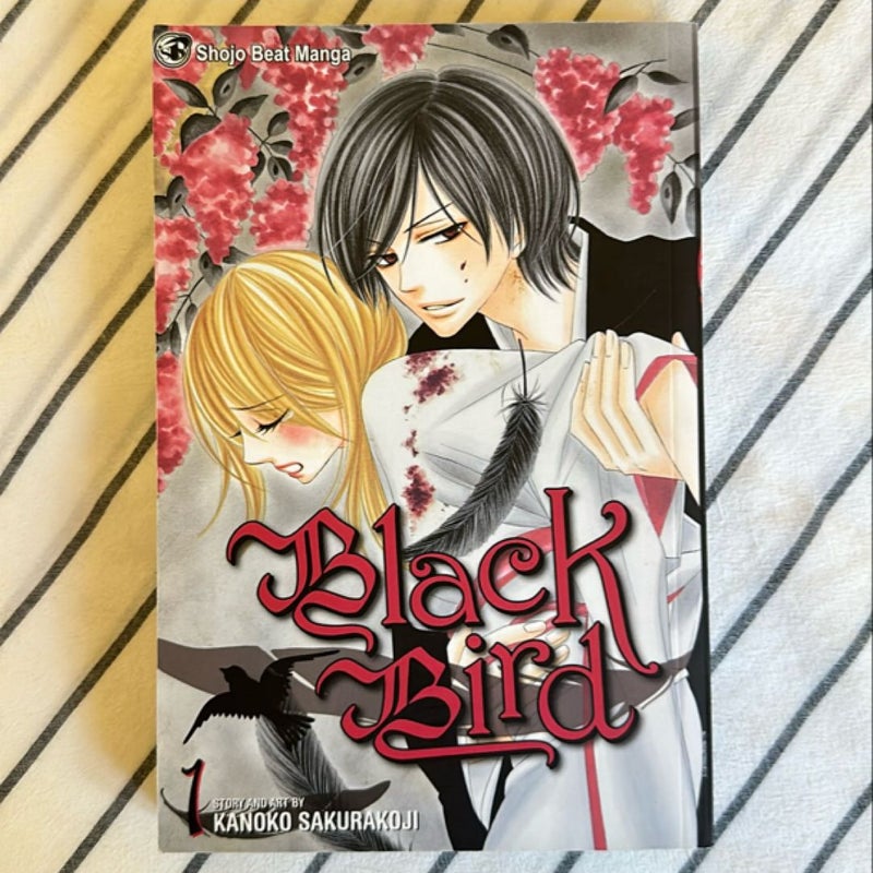 Black Bird, Vol. 1 (English)