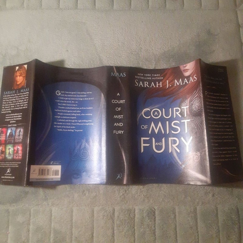 A Court of Mist and Fury -  1ST EDITION'S ORIGINAL COVER ART DUST JACKET, NO BOOK!