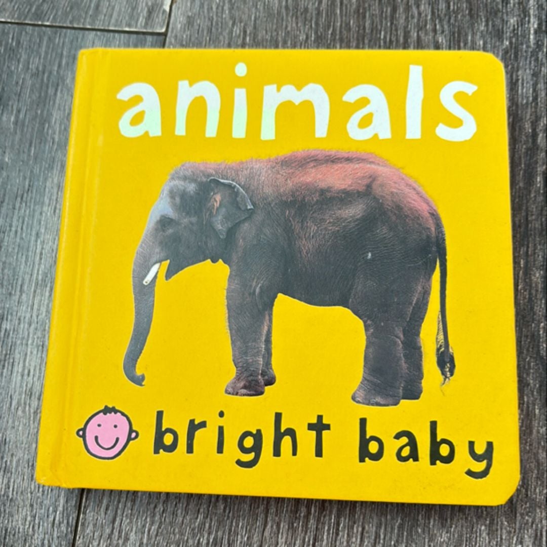 Bright Baby Animals