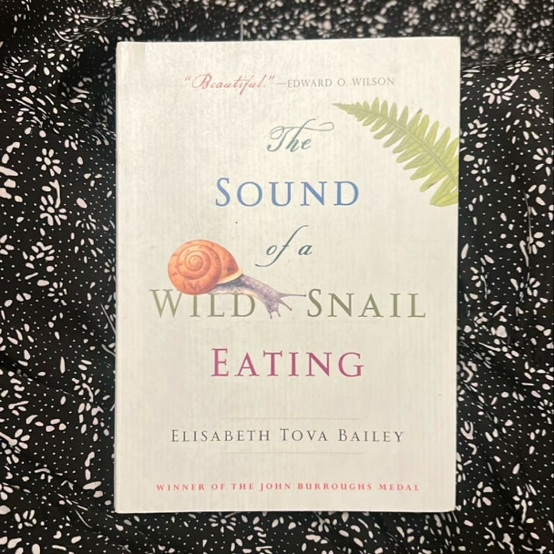 The Sound of a Wild Snail Eating