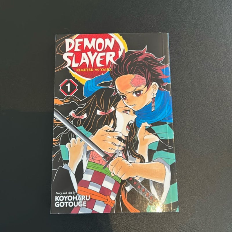 Demon Slayer: Kimetsu No Yaiba, Vol. 1