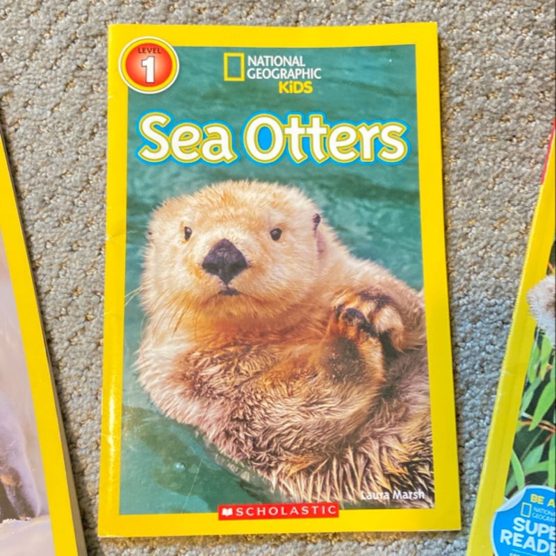 National Geographic Kids: Penguins, Sea Otters, Koalas