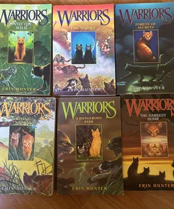 Warrior Cat Book lot 1-6 