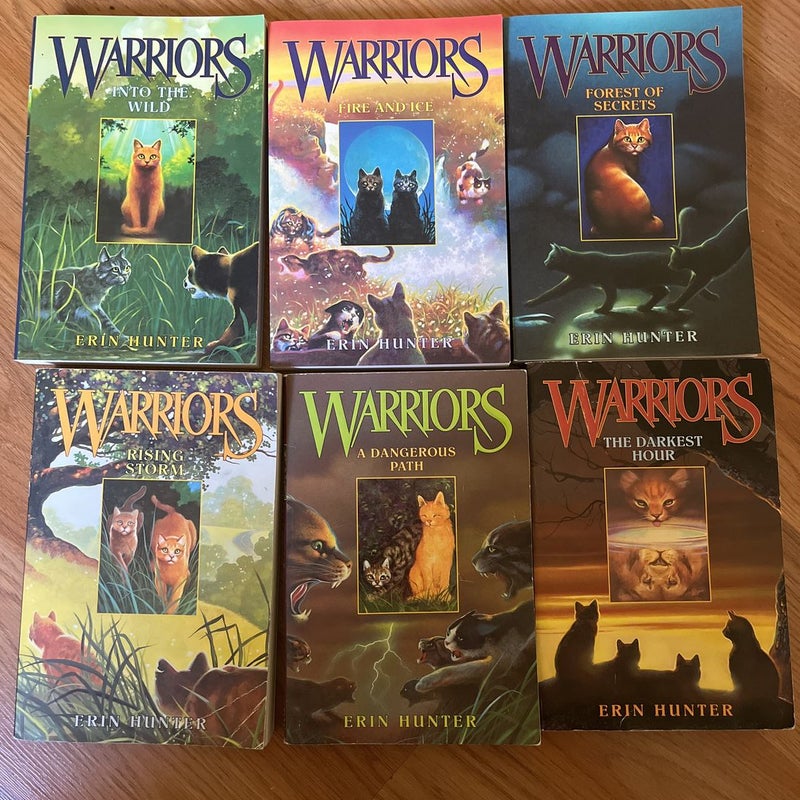 Warrior Cat Book lot 1-6 