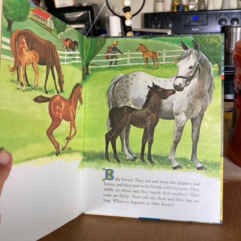 Whatever Happens to Baby Horses?