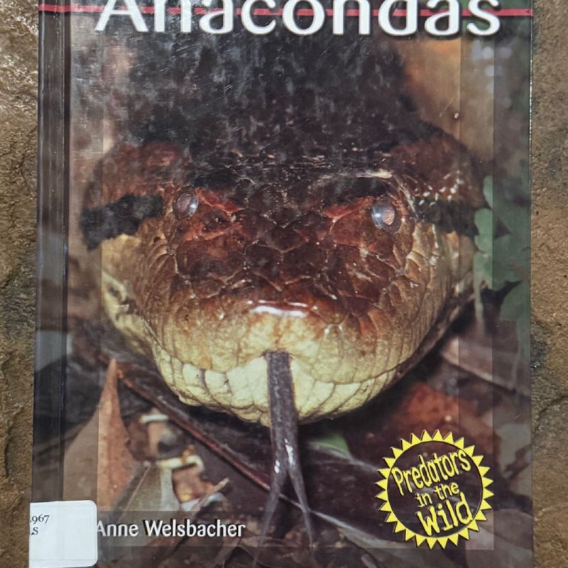 Anacondas