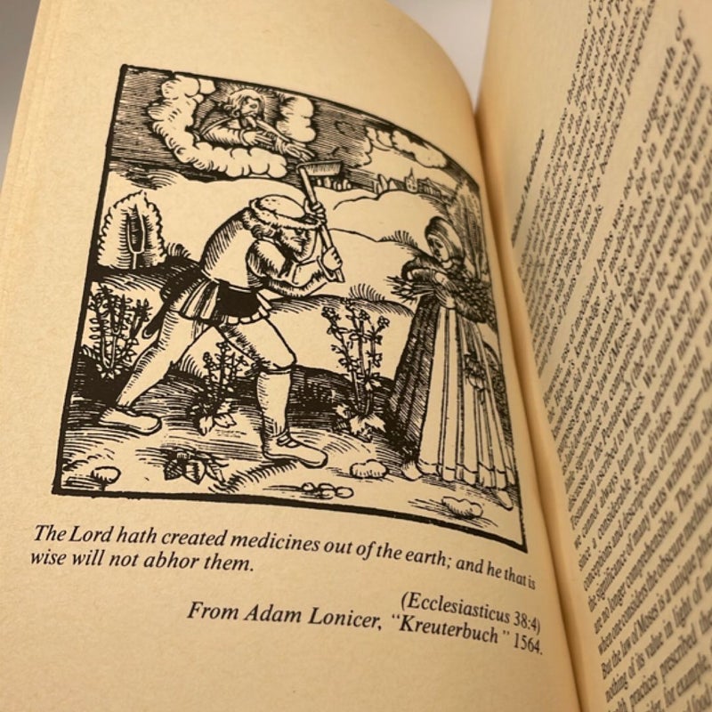 Medicinal Herbs in the Bible