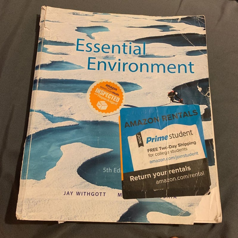 Essential Environment 