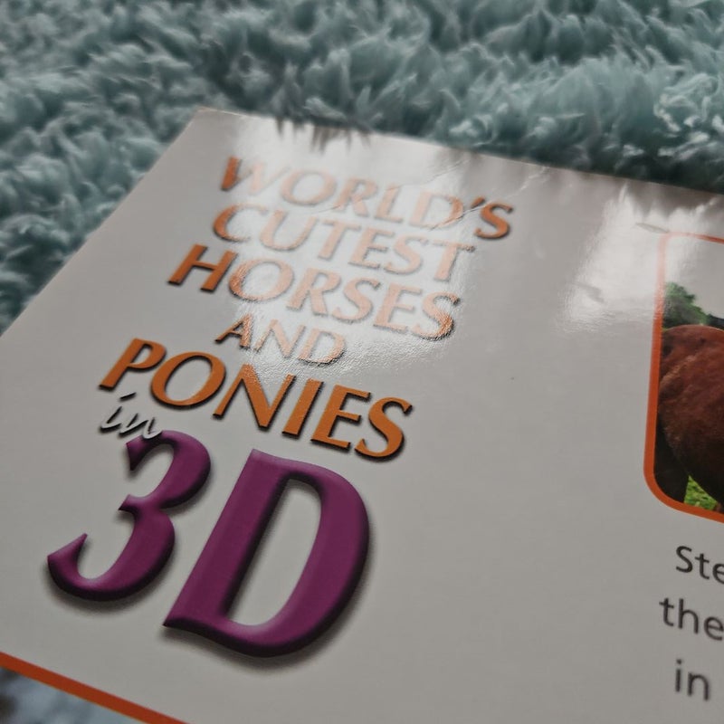 World's Cutest Horses and Ponies in 3D