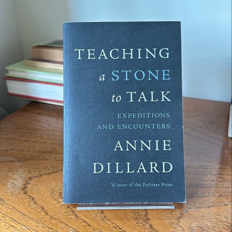 Teaching a Stone to Talk