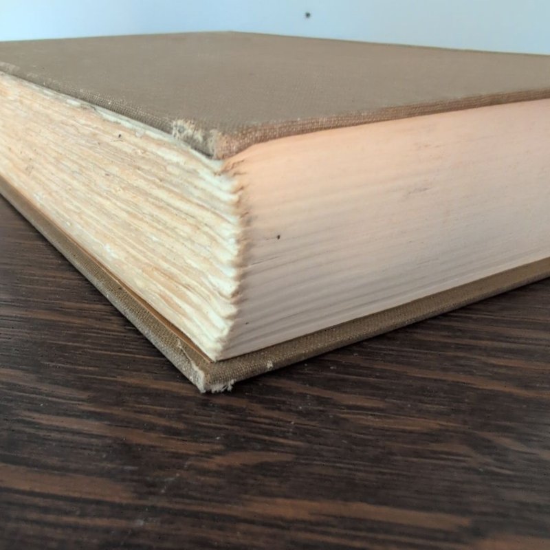 The Short Novels of John Steinbeck