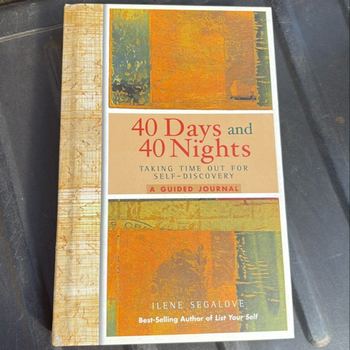 40 Days and 40 Nights by Llene Segalove