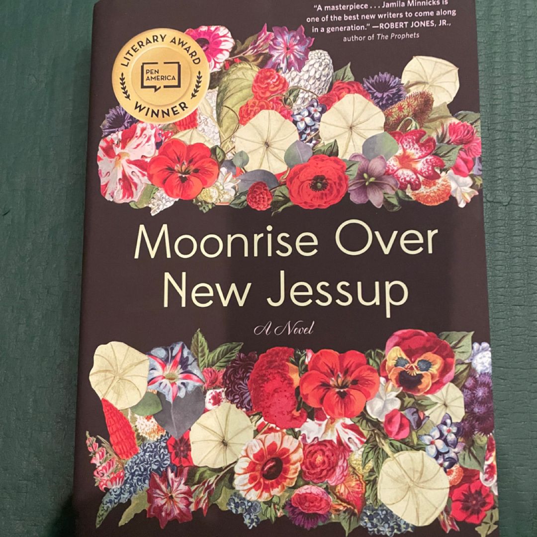 Moonrise over New Jessup